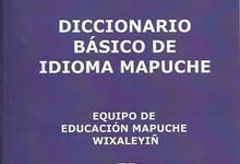 Diccionario mapuche