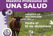 Nueva Maestría vincula salud animal, vegetal, humana y ecosistémica