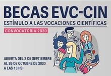 Becas CIN “Estímulo a las Vocaciones Científicas” Convocatoria 2020